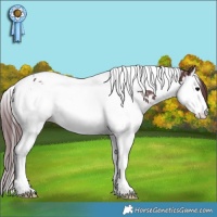Horse Color:White Spotted Chocolate Black Splash Tobiano Snowflake Varnish 