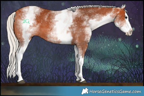 Horse Color:White Spotted Silver Bay Splash 