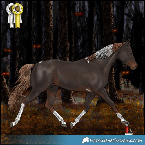 Horse Color:Liver Chestnut Tobiano 