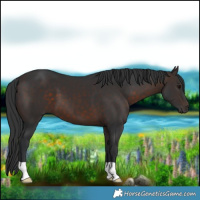Horse Color:Brown 