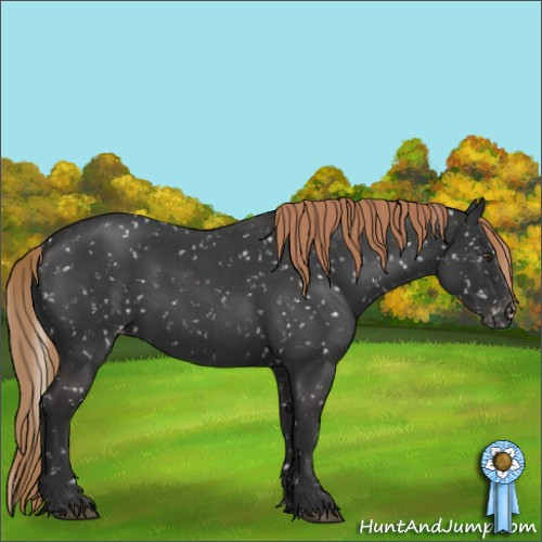 Horse Color:Liver Red Roan Sabino Appaloosa 
