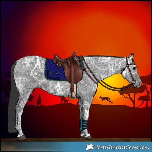 Horse Color:White Spotted Black Ice 