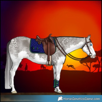 Horse Color:Smoky Grullo Ice Splash 