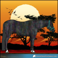 Horse Color:Midnight Black Ice