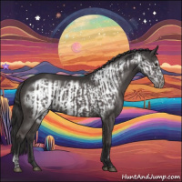 Horse Color:Smoky Grullo  and Smoky Grullo Frame 