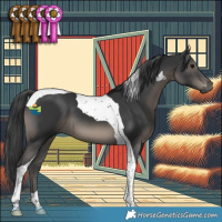 Horse Color:Black Tobiano 