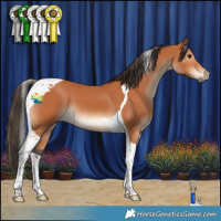 Horse Color:Bay Tobiano 