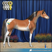 Horse Color:Bay Tobiano 