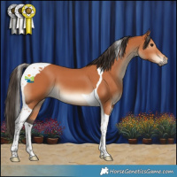 Horse Color:Bay Tobiano