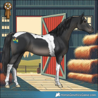 Horse Color:Black Tobiano 