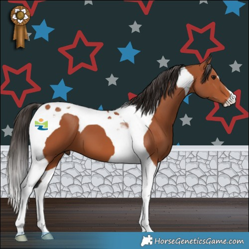 Horse Color:Bay Tobiano 