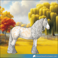 Horse Color:Palomino Dun Splash Appaloosa 