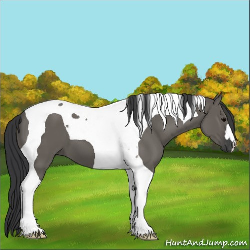 Horse Color:Grullo Tobiano
