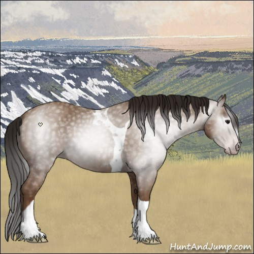 Horse Color:Gray Classic Champagne Tobiano