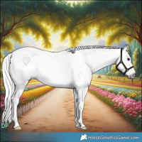 Horse Color:Gray Brown Tobiano Rabicano 