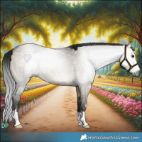 Horse Color:Gray Brown Dun 