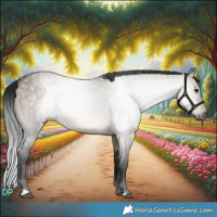Horse Color:Gray Brown Dun 