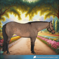 Horse Color:Brown Dun Rabicano 