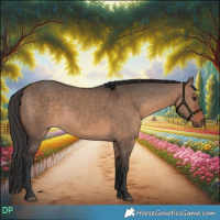 Horse Color:Brown Dun Rabicano 