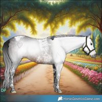 Horse Color:Gray Brown Tobiano Frame Rabicano