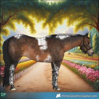 Horse Color:Gray Brown Tobiano Frame Rabicano 