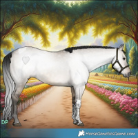 Horse Color:Gray Brown Dun Tobiano 