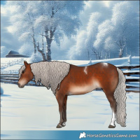 Horse Color:Silver Brown Tobiano 