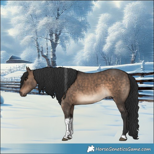 Horse Color:Brown Dun Tobiano 