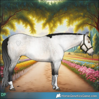 Horse Color:Gray Buckskin Roan Dun Tobiano 