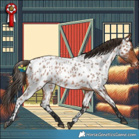 Horse Color:White Spotted Bay Roan Appaloosa Rabicano 