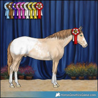 Horse Color:Smoky Black Pearl Snowcap Rabicano 