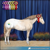 Horse Color:Smoky Black Pearl Appaloosa Rabicano 