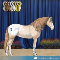 Horse Color:Smoky Black Pearl Appaloosa Rabicano 