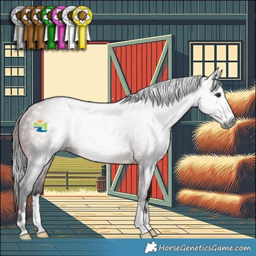 Horse Color:Gray Bay Rabicano 