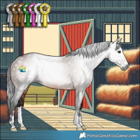 Horse Color:Gray Bay Rabicano