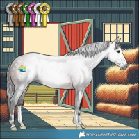 Horse Color:Gray Bay Rabicano