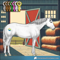 Horse Color:Gray Bay Rabicano 