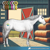 Horse Color:Gray Bay Rabicano 