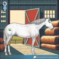 Horse Color:Gray Smoky Black Pearl Appaloosa Rabicano 