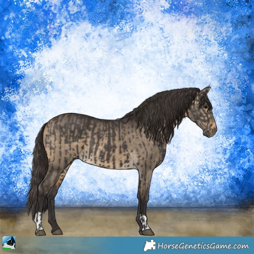 Horse Color:Smoky Grullo  and Buckskin Dun 