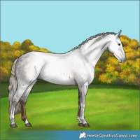 Horse Color:Gray Liver Chestnut Tobiano 