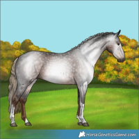 Horse Color:Gray Liver Chestnut Tobiano 