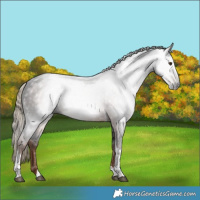 Horse Color:Gray Liver Chestnut Tobiano
