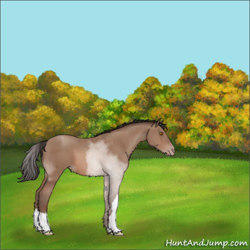 Horse Color:Sable Champagne 