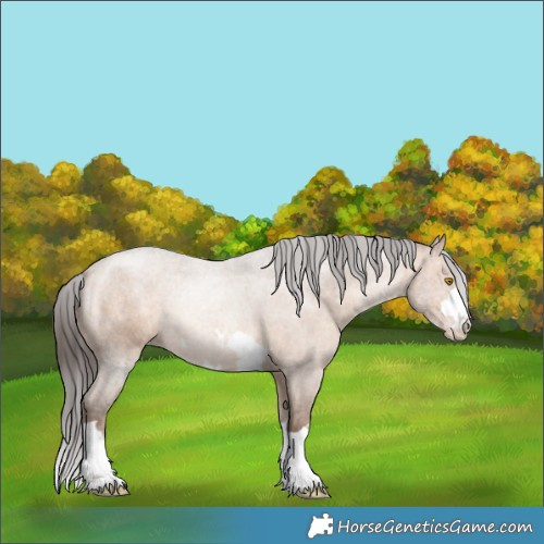 Horse Color:Sable Champagne