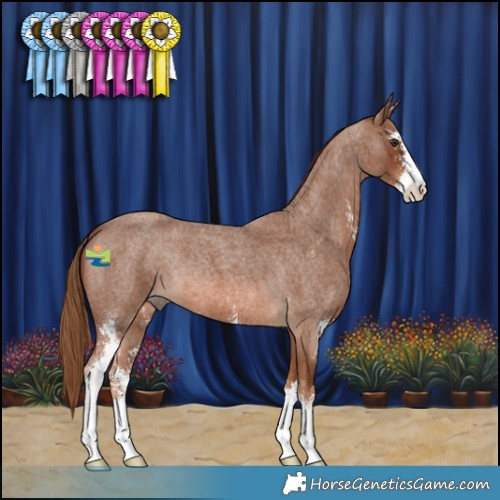 Horse Color:Red Roan Sabino 