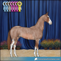 Horse Color:Red Roan Sabino