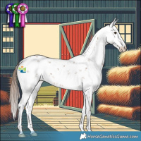 Horse Color:Chestnut Sabino