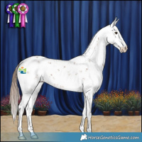 Horse Color:Chestnut Sabino 