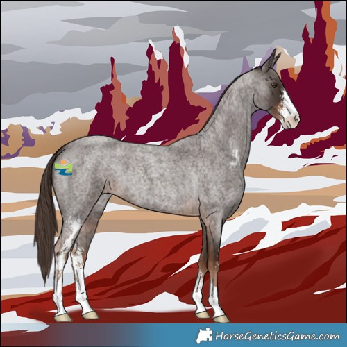 Horse Color:Liver Red Roan Sabino 